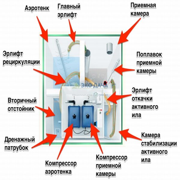Почему септик «топит» приёмную камеру и как это исправить